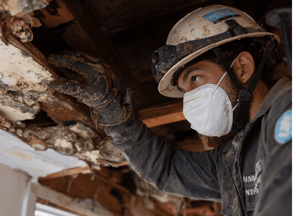 Carpet Cleaning Services in Williamston, MI